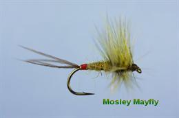 Mosley Mayfly